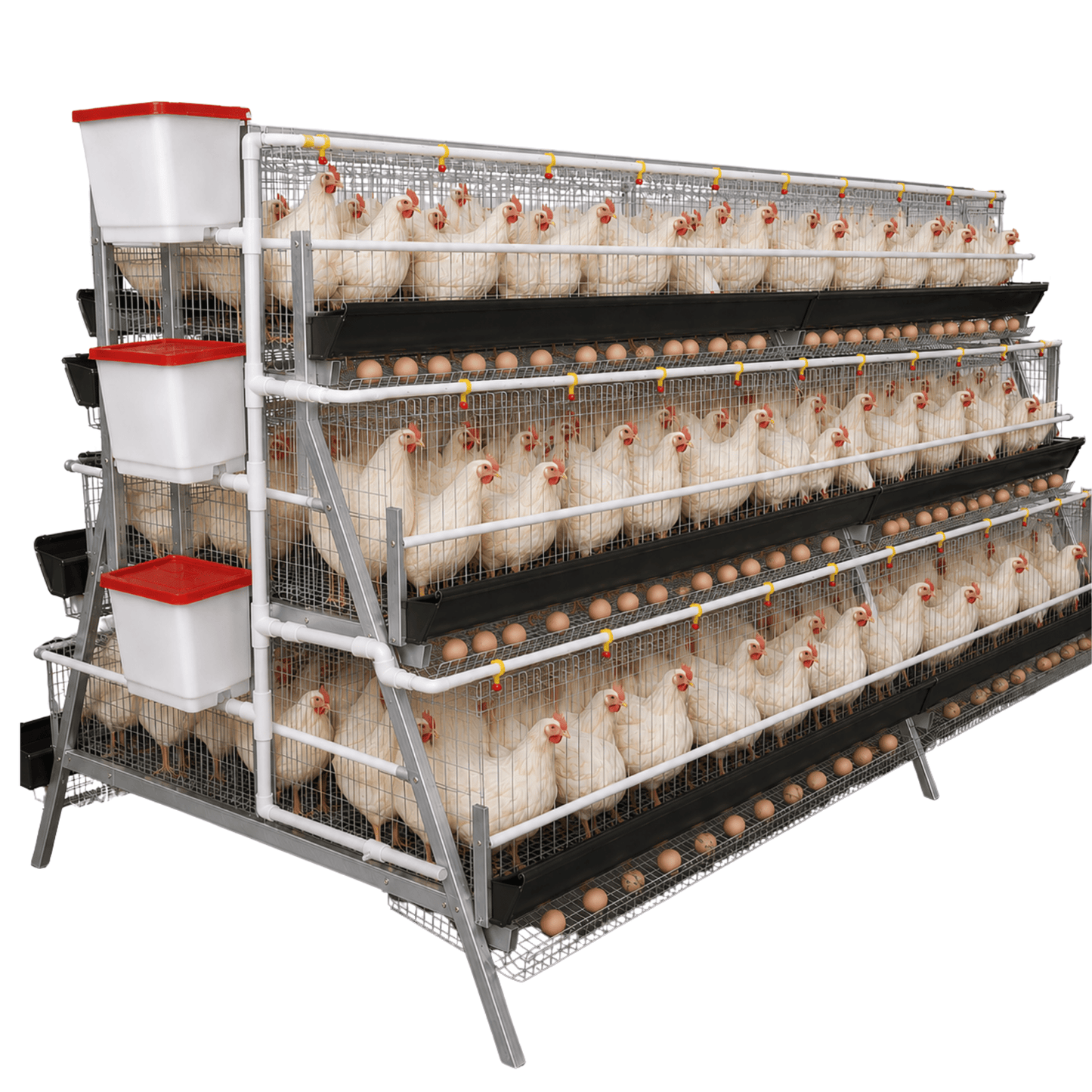 Gaiola de postura para 192 aves - Equipamento Elite Poultry