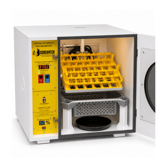 60 Egg Incubator and Hatcher - Fully Automatic Digital SH60