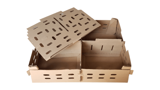 Chick Transport Box Carton