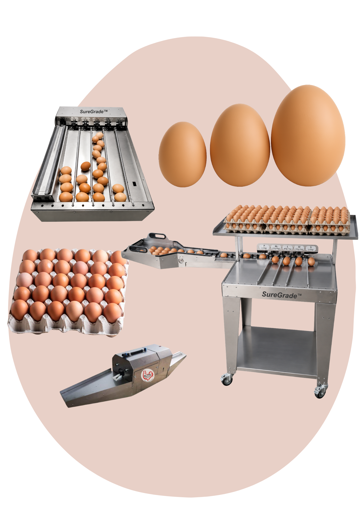 Egg Graders and Washers