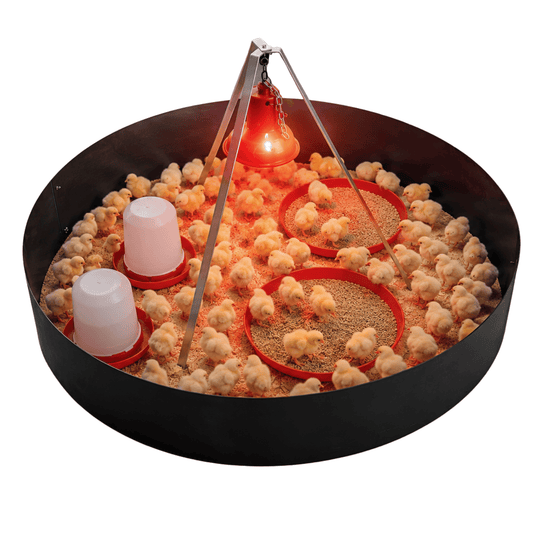 SureGrow™ 100 Chick Infrared Brooder