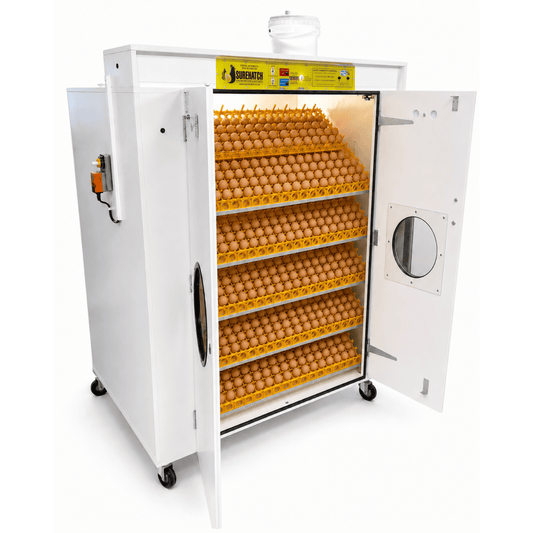2160 Egg Automatic Setter Incubator - Model SH2160