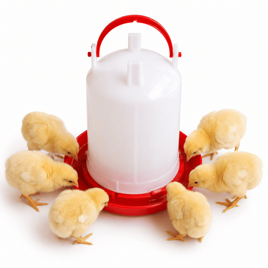 SureGrow™ 3 Litre Poultry Drinker Water Fount