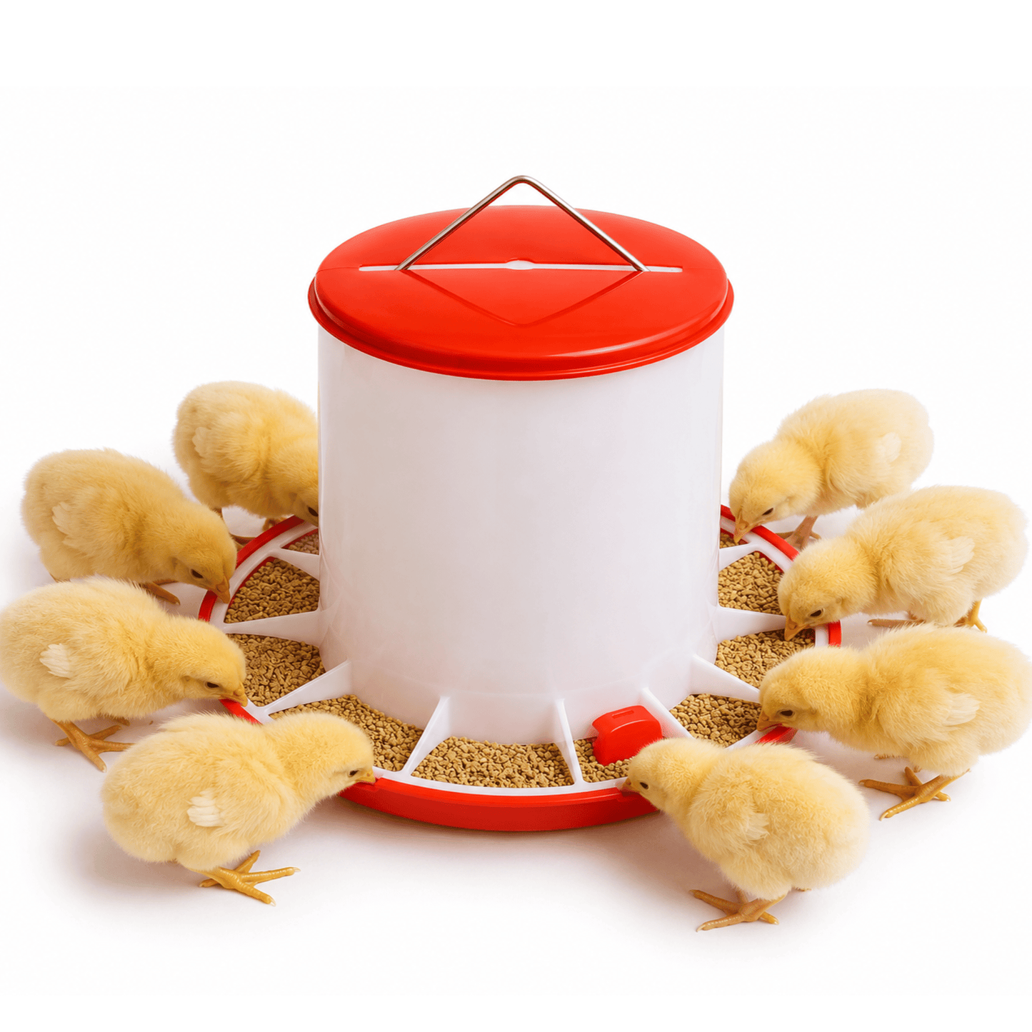Poultry Tube Feeder 9 kg Umthamo - Elite Poultry Equipment