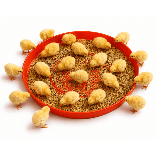 SureGrow™ Scratch Feeder Pan for Chicks