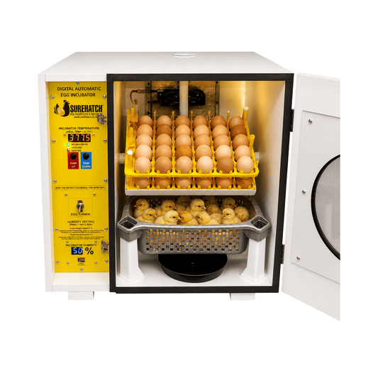 60 Egg Incubator and Hatcher - Fully Automatic Digital SH60