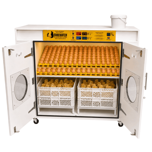 1000 Egg Incubator and Hatcher - Fully Automatic Digital Model SH1000