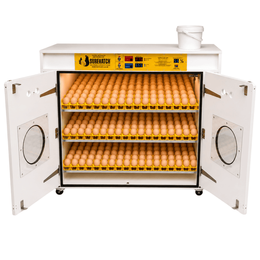 1080 Egg Automatic Setter Incubator - Surehatch Model SH1080S