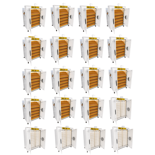 40000 Egg Hatchery - Produce 10800 chicks per week -  Surehatch® SH40000 Hatchery