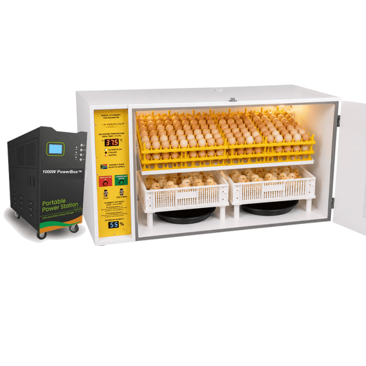 560 Egg Electricity or Battery Powered Digital Egg Incubator - SH560DP