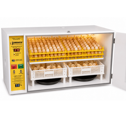 560 Egg Incubator and Hatcher - Fully Automatic Digital Model SH560