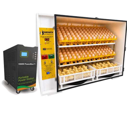 680 Egg Electricity or Battery Powered Digital Egg Incubator - SH680DP