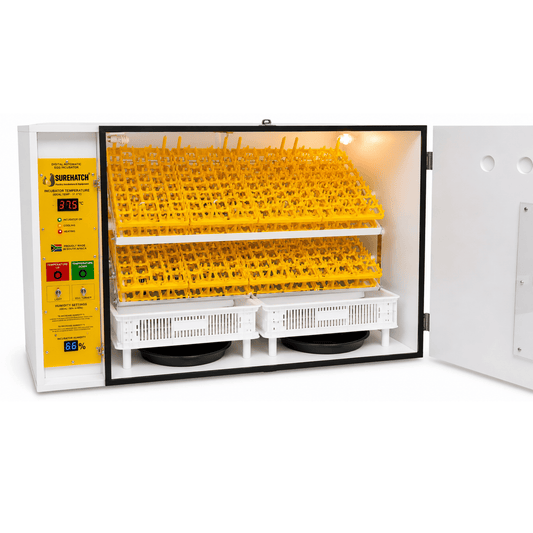 680 Egg Incubator and Hatcher - Fully Automatic Digital Model SH680