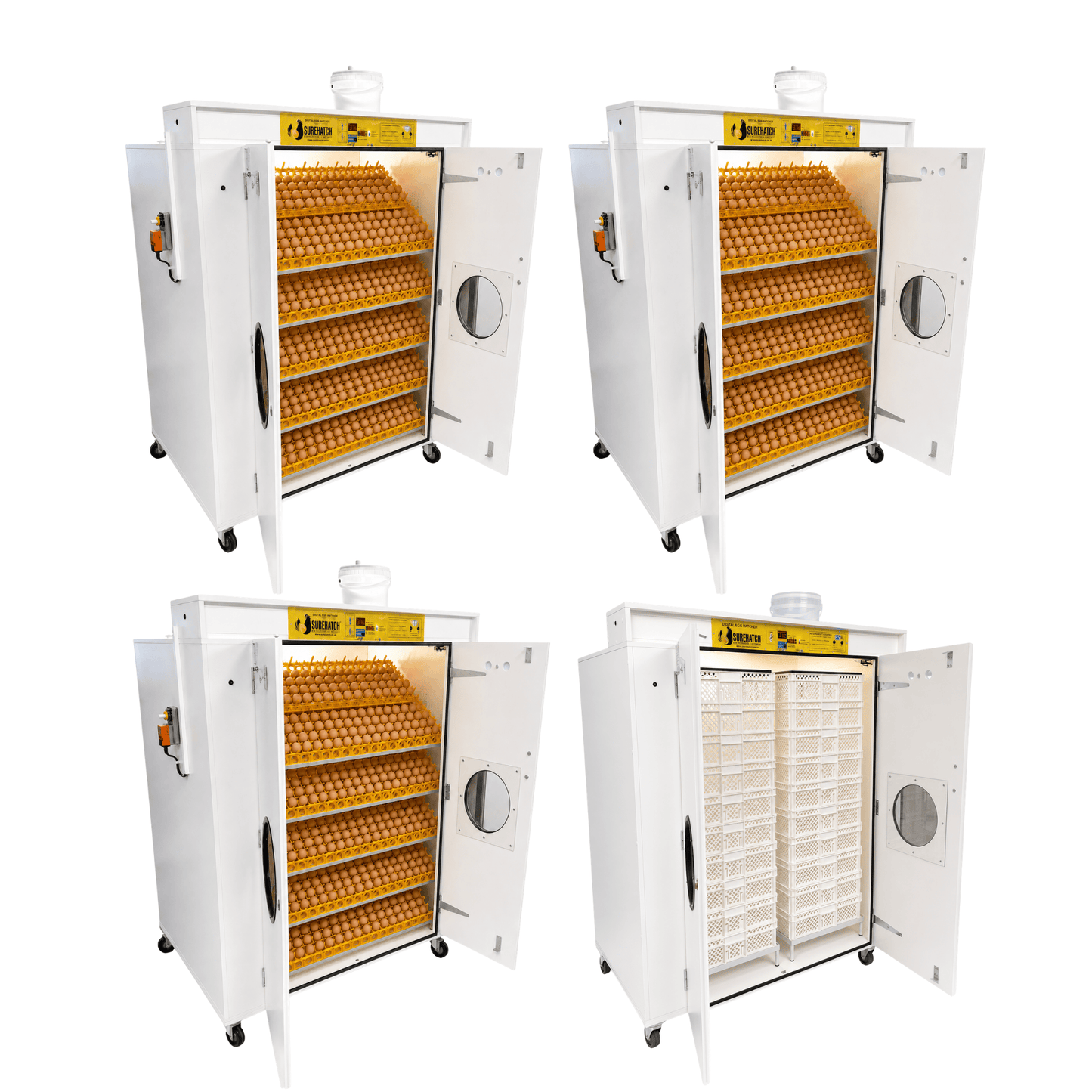 8000 Egg Hatchery - Khiqiza amatshwele angama-2160 ngesonto - SH8000 Chick Hatchery